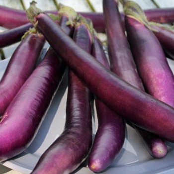 Aubergine Chinese Long (Samen)