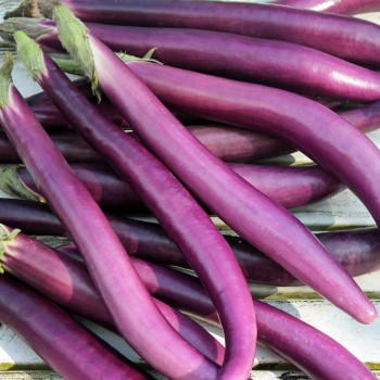 Aubergine Chinese Long (Samen)