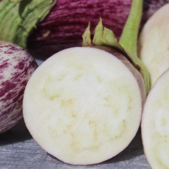 Aubergine Tsakoniki (Samen)