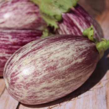 Aubergine Tsakoniki (Samen)
