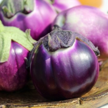 Aubergine Violetta di Firenze (Samen)