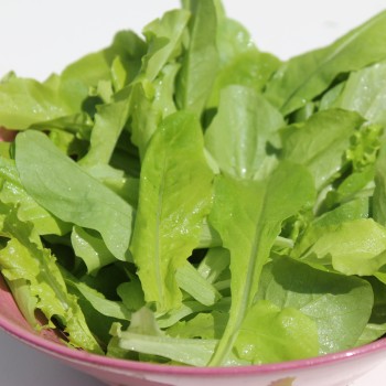 Babyleaf Salat Grüne Mischung (Samen)