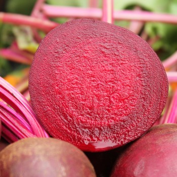 Beete Rote Kugel II (Samen)