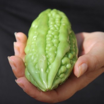 Bittermelone Thai Green (Samen)