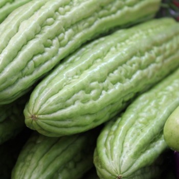 Bittermelone Thai Green (Samen)