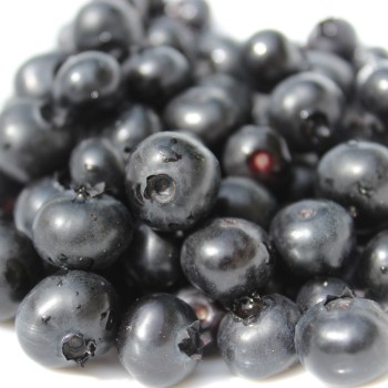 Blaubeere Emil (Pflanze)