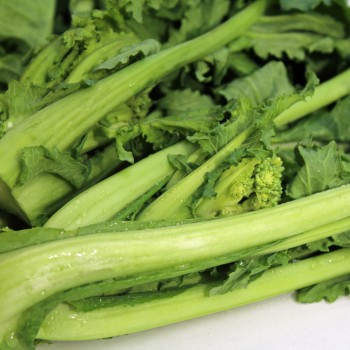 Broccoletto Cima Grande Fasano (Samen)