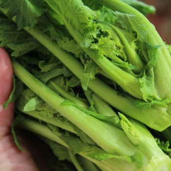 Broccoletto Riccia San Marzano (Samen)