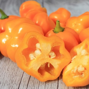 Chili Aucaja Amarilla (Schärfe 2) (Samen)