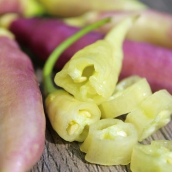 Chili Blondy (Schärfe 5) (Samen)