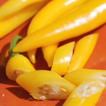 Chili Cayenne Yellow (Schärfe 6) (Samen)