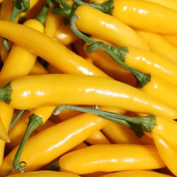 Chili Cayenne Yellow (Schärfe 6) (Samen)