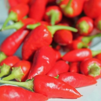 Chili Chinese Flame (Schärfe 2) (Samen)