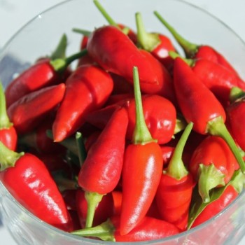 Chili Chinese Flame (Schärfe 2) (Samen)