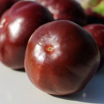 Chili Chocolate Cherry Pepper (Schärfe 3) (Samen)