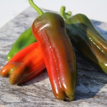 Gemüsechili Friariello Nocera (Schärfe 0) (Samen)