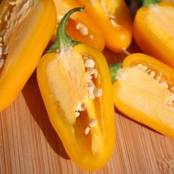 Chili Jalapeno orange (Schärfe 3) (Samen)
