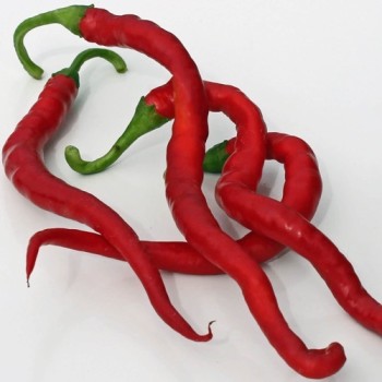 Chili Hair (Kil Biber) (Schärfe 5) (Samen)