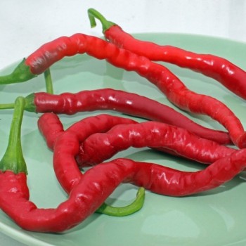 Chili Hair (Kil Biber) (Schärfe 5) (Samen)
