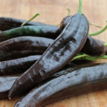 Gemüsechili Pasilla Bajo (Schärfe 1) (Samen)