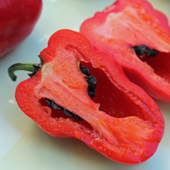 Chili Rocoto Manzano Rojo (Schärfe 8) (Samen)