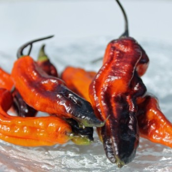 Chili Rouge Noir (Schärfe 10+) (Samen)