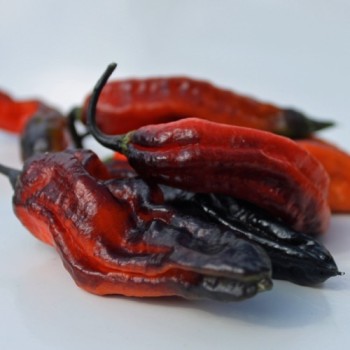 Chili Rouge Noir (Schärfe 10+) (Samen)