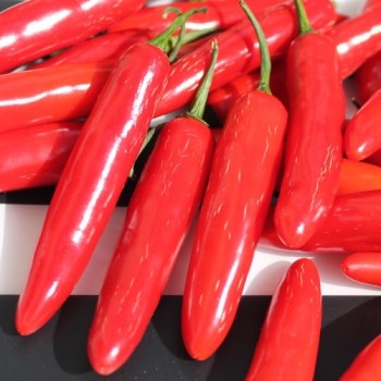 Chili Serrano (Schärfe 6) (Samen)