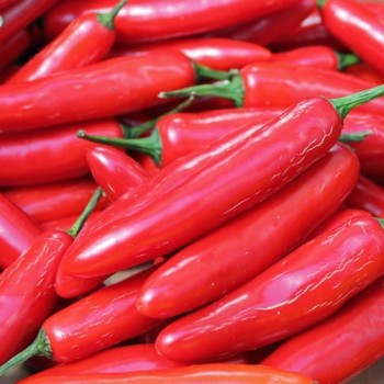Chili Serrano (Schärfe 6) (Samen)