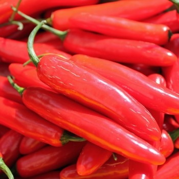 Chili Serrano (Schärfe 6) (Samen)