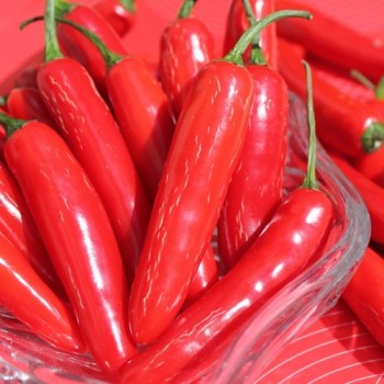 Chili Serrano (Schärfe 6) (Samen)