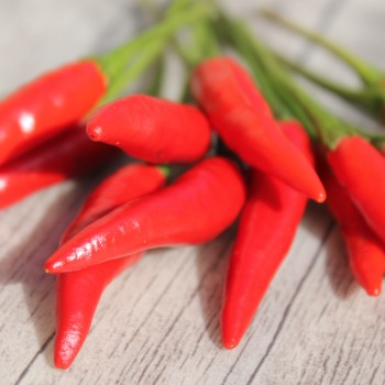 Chili Tabasco (Schärfe 8) (Samen)
