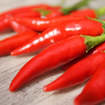 Chili Tabasco (Schärfe 8) (Samen)