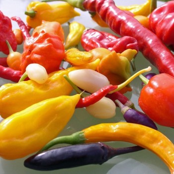 Chilimix (Samen)