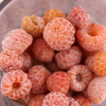 Chinesische Himbeere Ambra (Pflanze)