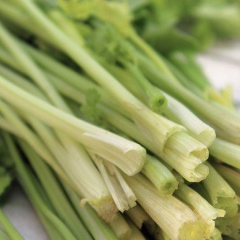 Chinesischer Sellerie White Stem (Samen)