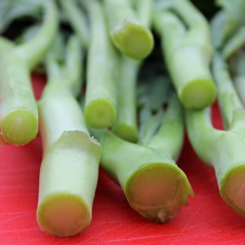 Chinesischer Stängelkohl Kailaan (Samen)