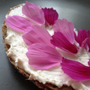 Cosmos Dazzler (Samen)