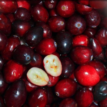 Cranberry Stevens (Pflanze)