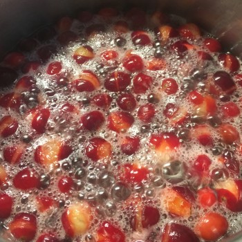 Cranberry Crowley (Pflanze)