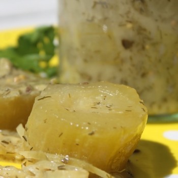 Gurke Rhinish Pickling (Samen)