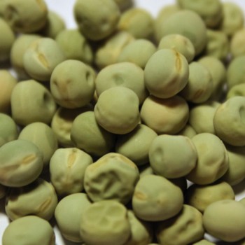 Zuckererbse Oregon Sugar Pod II (Samen)