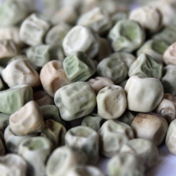 Knackerbse Sugar Bon (Samen)