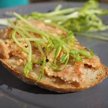 Microgreens Erbsenspargel (Samen)