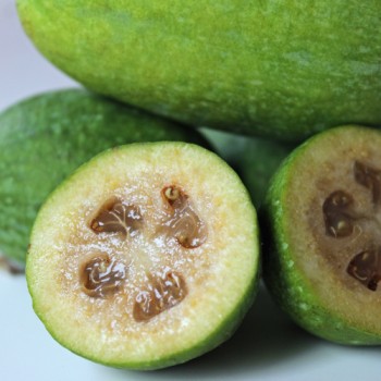 Feijoa - Ananasguave (Samen)