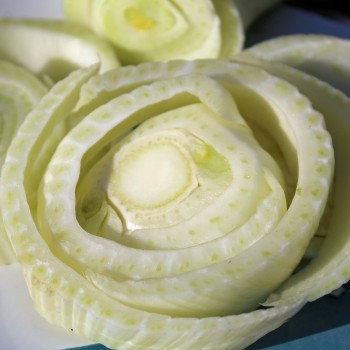 Knollenfenchel Mantovano (Samen)
