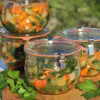 Neu! Chili Gochugaru (Korean Giant Kimchi) (Schärfe 2) (Samen)