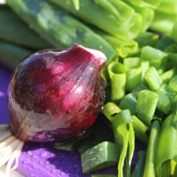 Frühlingszwiebel Karmen (Samen)