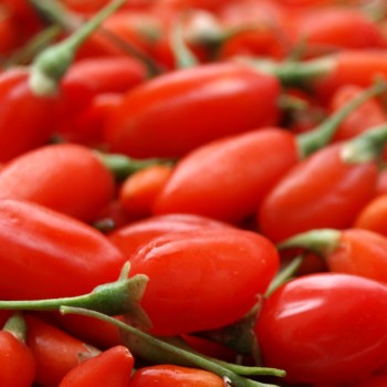 Goji  (Samen)