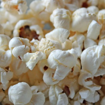 Popmais Golden Butter (Samen)